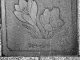 tale06-001.jpg