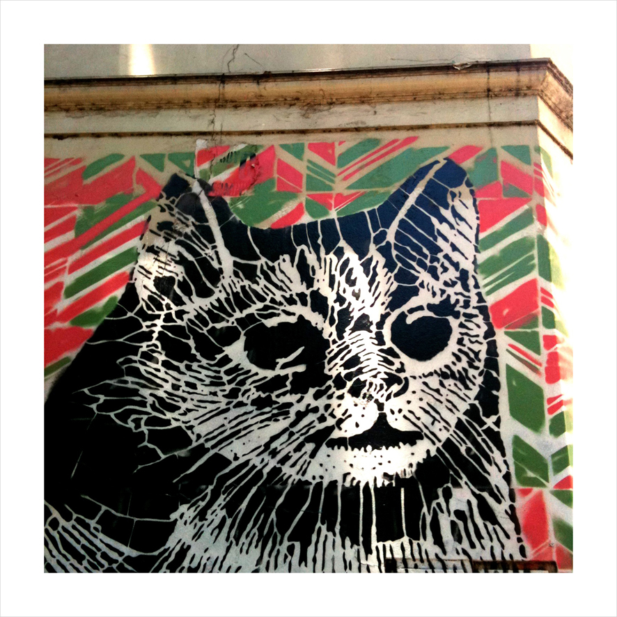 Graffiti Cat