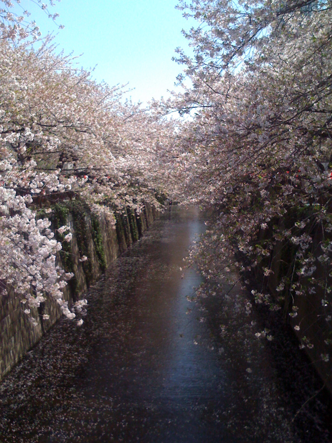 Meguro River Meguro-Ku Tokyo