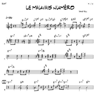 LE MAUVAIS NUMERO