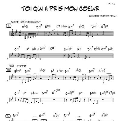 TOI QUI A PRIS MON COEUR